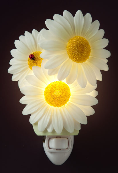 Ladybug on Daisies Night Light