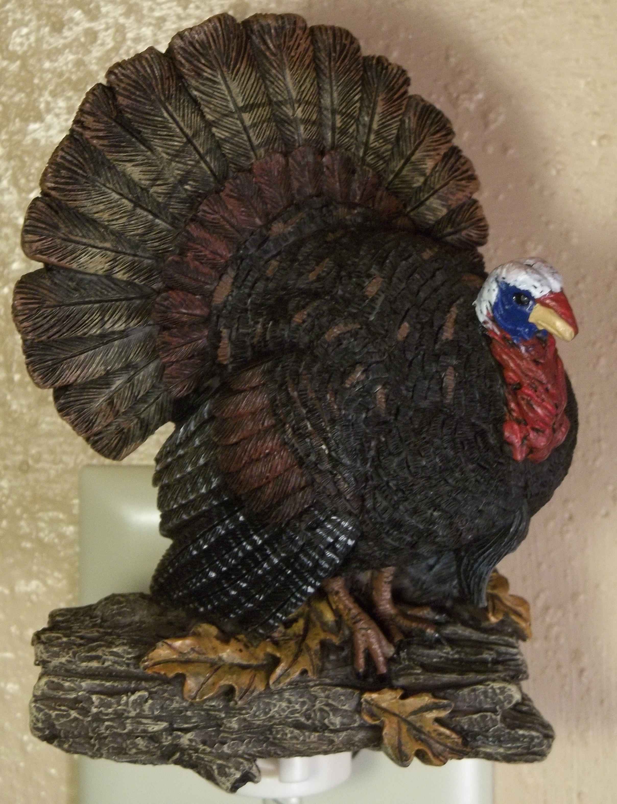 Turkey Night Light