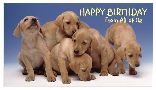 Puppies - Happy Birthday Magnet