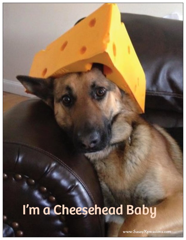 Cheesehead Baby Refrigerator Magnet