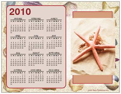 Starfish Calendar Magnet