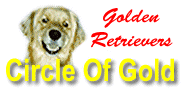 Join
The Golden Retriever Circle Of Gold Webring!