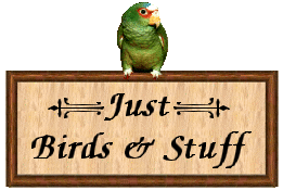Just Birds & Stuff