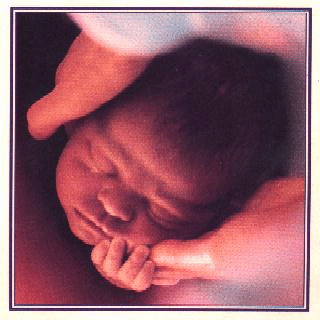 Birthing Image from Heart & Hands by Elizabeth Davis