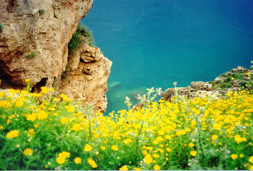 vacation rental home photo 2