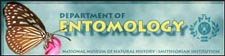 Department of Entomology at NMNH.