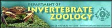 Department of Invertebrate Zoology at NMNH