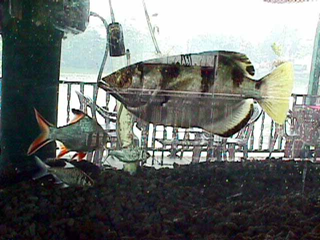 click here for return