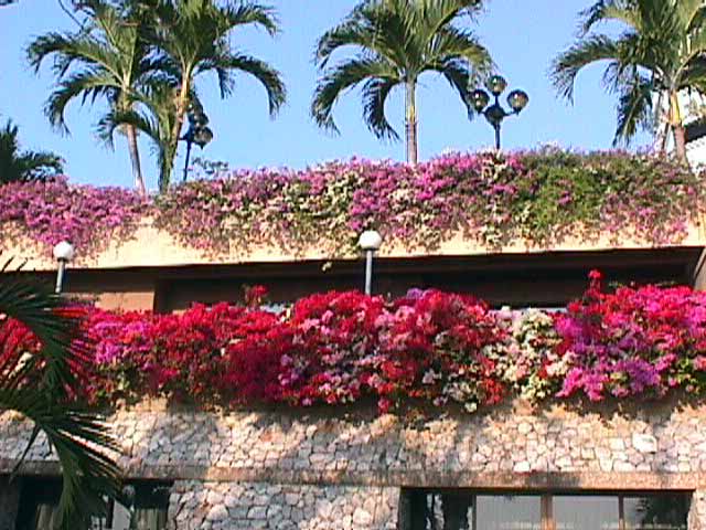 click here for return