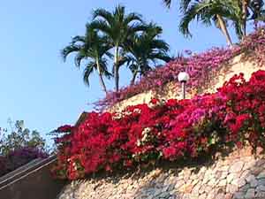 Click here for the largest zoom