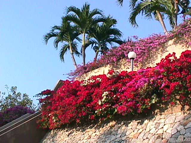 click here for return