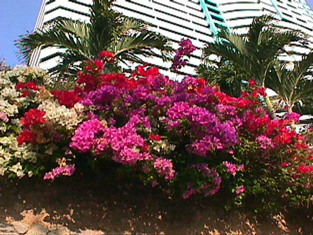 click here for return