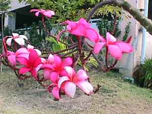 Click here for the largest zoom