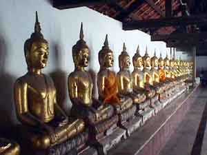 Click here for the largest zoom