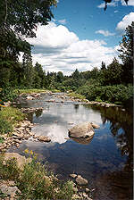 peace & quiet in a wilderness setting