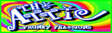 The Attic- Vintage Clothing Store