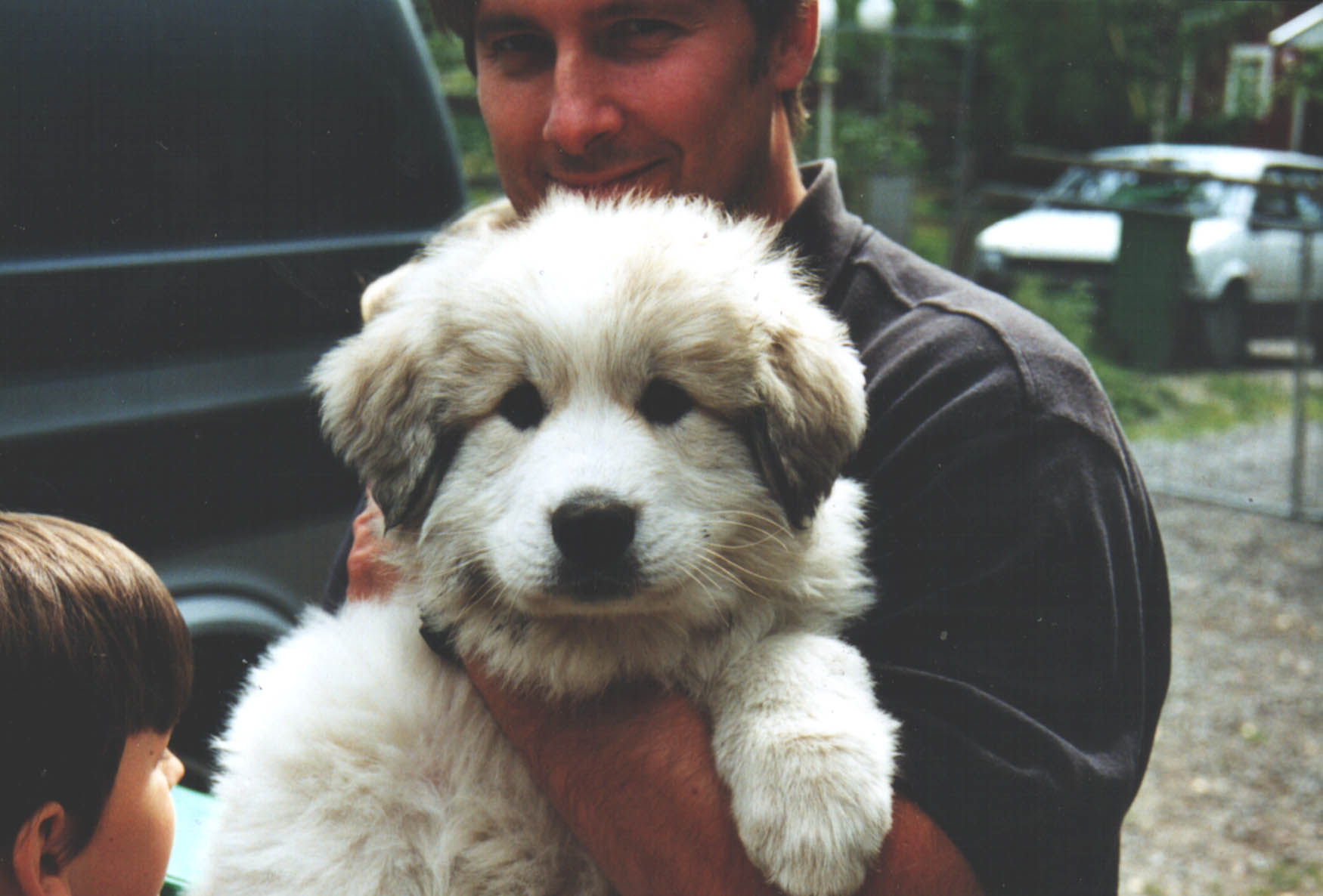 WHITE DELIGHT'S ANGELEYES