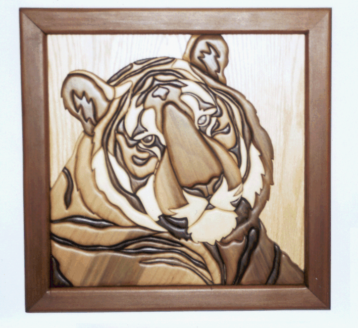 Tiger - Framed