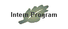 Intern Program