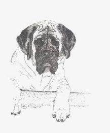 "Bear" by Lucie Fainsbert