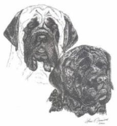 "The Guardians" by Lucie Fainsbert