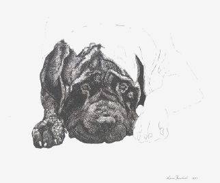 "Howdy" by Lucie Fainsbert