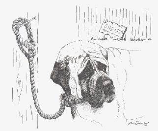 "Why?" by Lucie Fainsbert