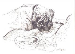 "This Yours?" by Lucie Fainsbert