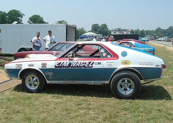 Wayne's AMX