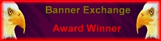 Banner Exchange Award