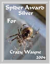 Silver Spider Award