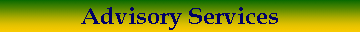 Advisory Services