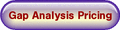 Gap Analysis Pricing