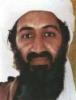 Ties to Bin Laden 