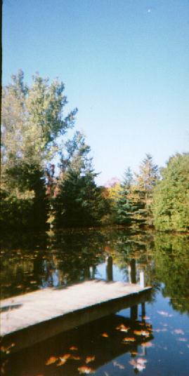 View of a lake on the artists property.