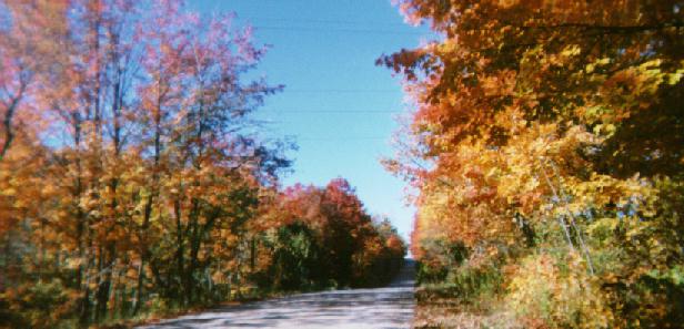 This view down a road lined with the bright colors of fall required a stop to enjoy.