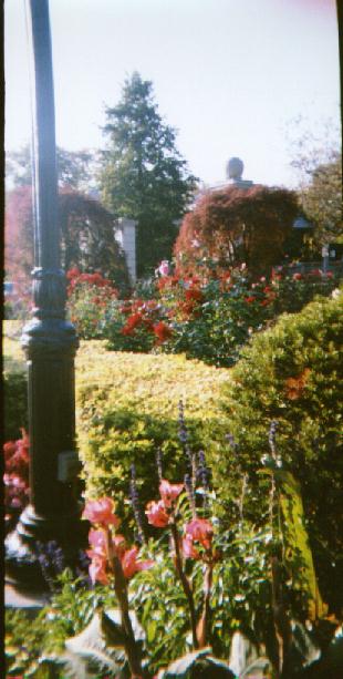 Here is a garden from a heritage house we visited in Torondo. Still the weather is beautiful.