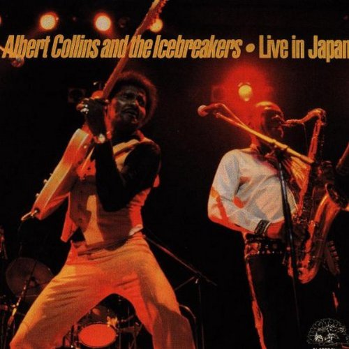 albert collins, live in japan review, steven whitehurst, the whitehurst blog