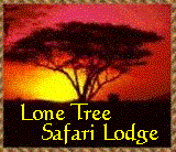 Home Page for The Lone Tree Safari Lodge