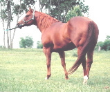 Coolest Connection-three qtr shot