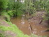 muddy creek
