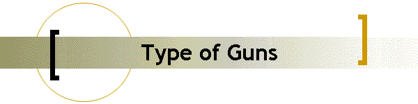 Type of Guns