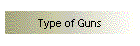 Type of Guns