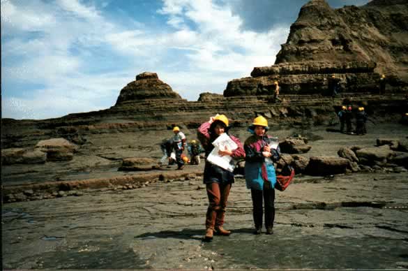 Hail and Wind at Staithes