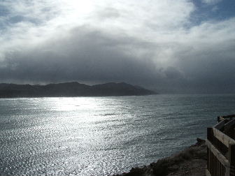 Whoh dude! Ducks on ground floor!