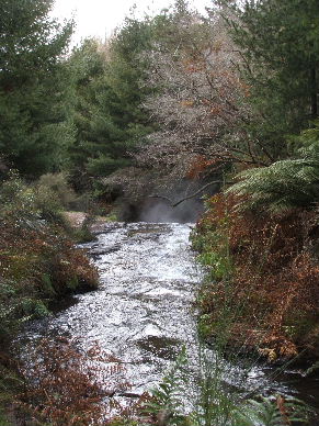 That's the power of the Babe!