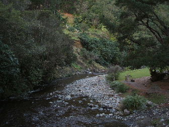 Take me to the river! D-e-rop me in the water!