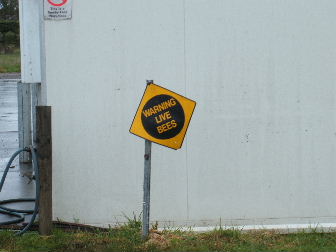 Hot Bees! Bees from the Trees! Hot Beer... Mmmmmm! How Queer!