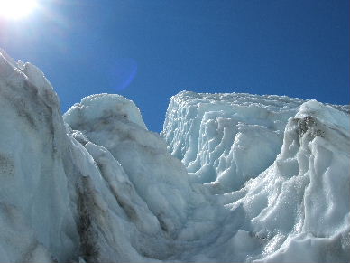 Why not the Haast Glacier??