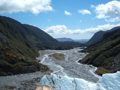 No mints at Franz Josef